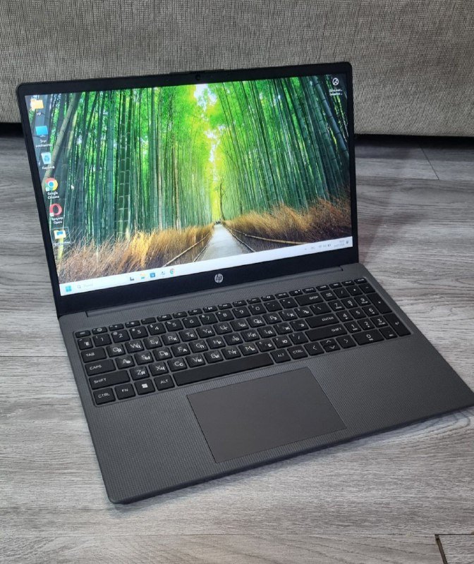 Ноутбук HP 255 G10