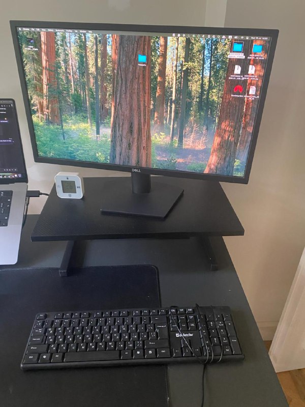 Монитор DELL SE2422H, подставка Jysk SULDRUP, клавиатура с русскими буквами