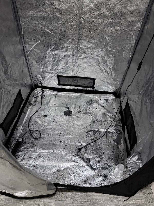 Гроубокс Snake Ray 120x120x200 и 2 лампы Mars Hydro TS 1000 4