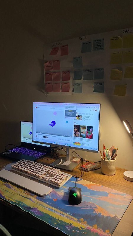 Металлическая полка, монитор HP, телефон Huawei P30 Pro, стол, сумка для собаки 4