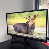 LG монитор 24" IPS 1