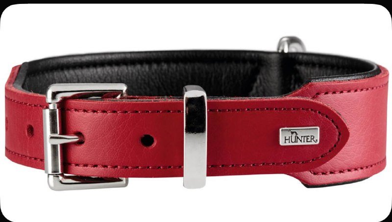 Ошейник Hunter натуральная кожа для крупных пород 1