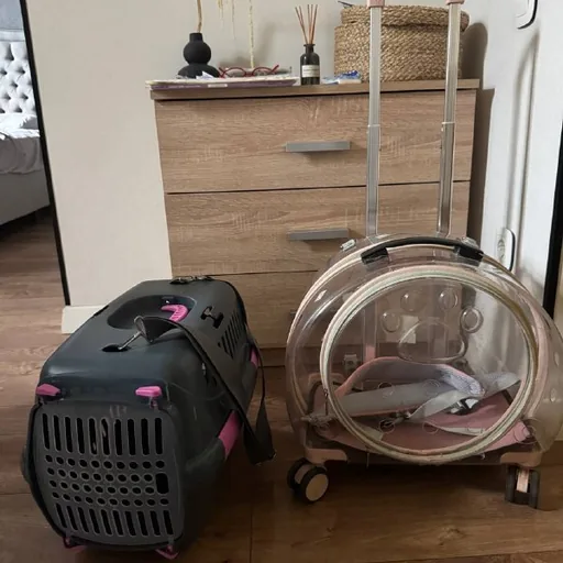 Carriers for cats and small dogs