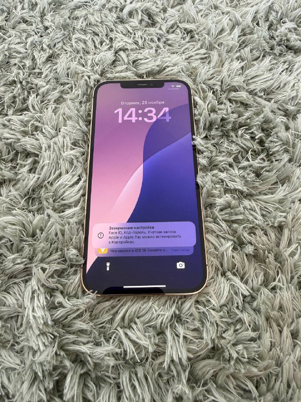 iPhone 12 Pro Max 512GB