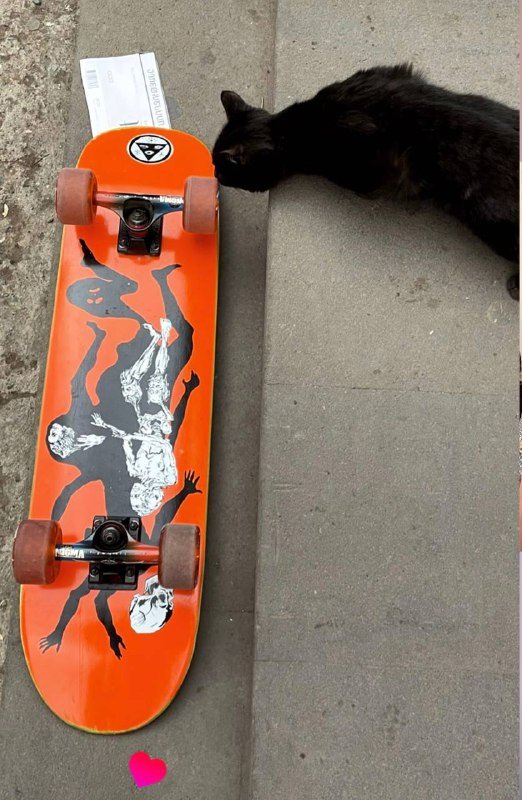 Скейтборд Welcome skateboards, 2 пары колес, защита