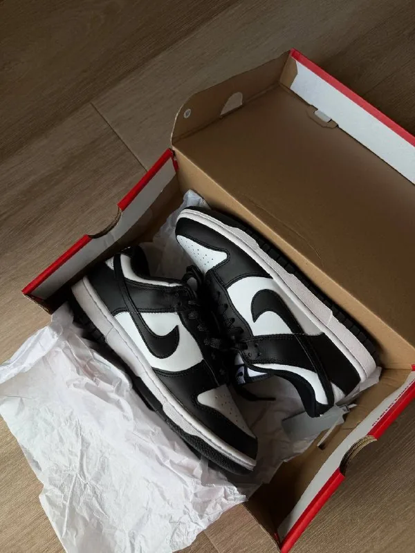 Nike Dunk 1