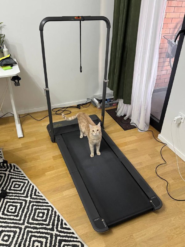 Беговая дорожка Xiaomi KingSmith WalkingPad TRR1F Pro Black