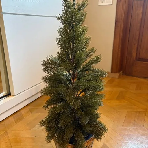 Тумба, кофемолка, очиститель воздуха, подушка, часы, кеды, костыли, елка, форма