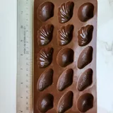 Формы ракушки 1