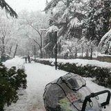 Кроссовки белые разм 38 нонейм, Asics разм 36 узкая ножка