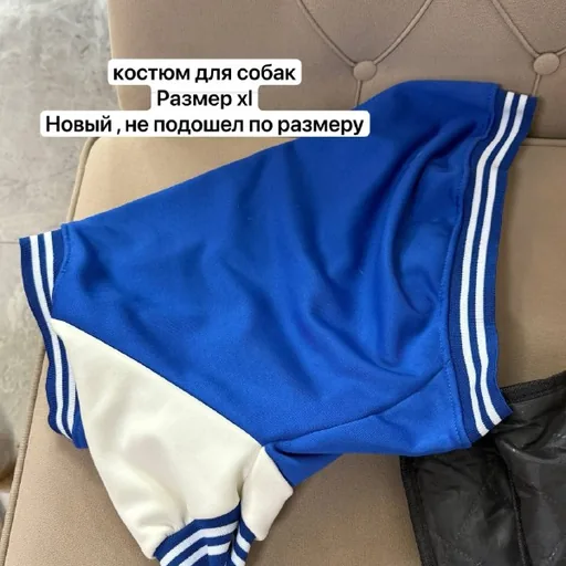 Костюм для собак, носочки, шлейка, чай
