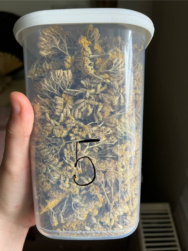 Масло Ши рафинированное, тысячелистник, каолиновая глина, красная глина, мерный стаканчик, взбиватель, фитиль для свечей, тампоны, фонарик 2