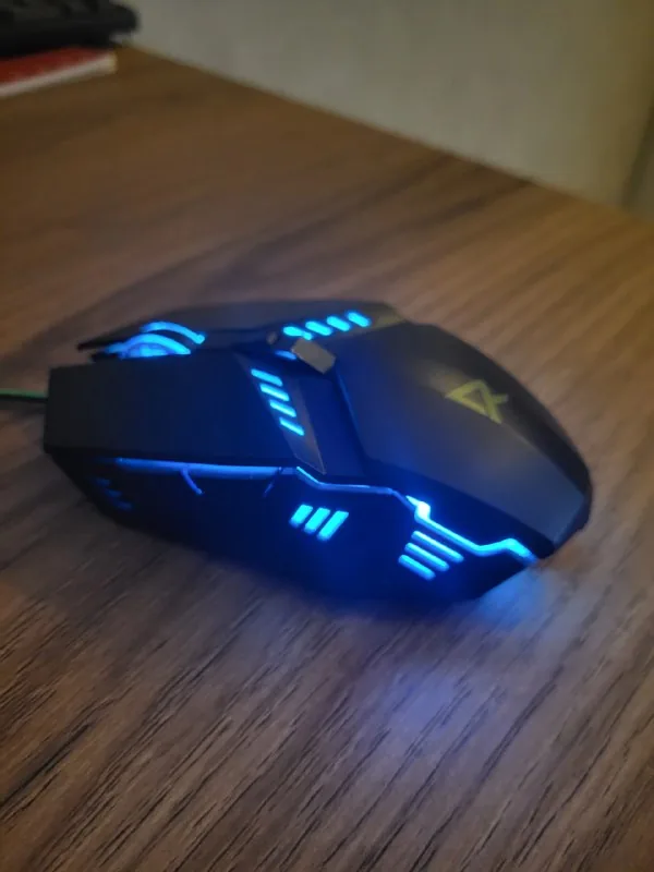 Компьютерная мышь 1