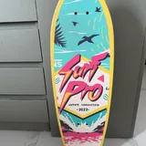 SurfSkate 1