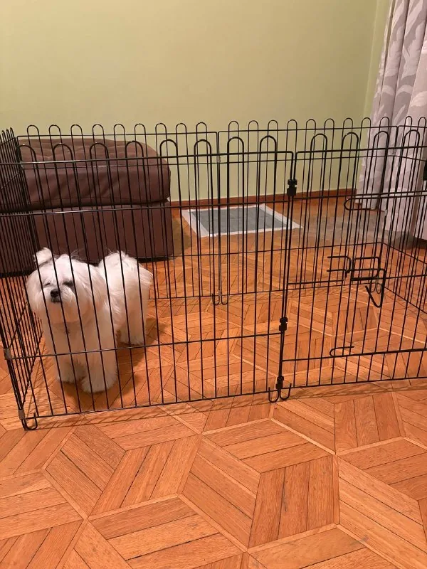 Клетка для собак 1