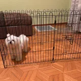 Клетка для собак 1