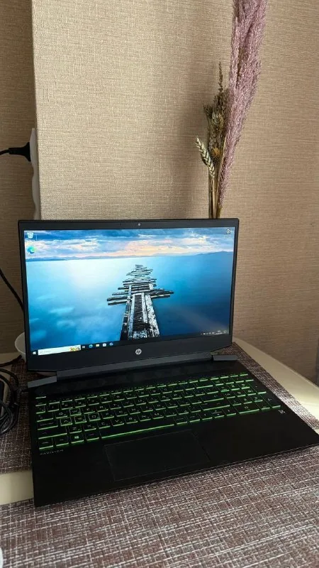 HP Pavilion Gaming 15-ec1087ur