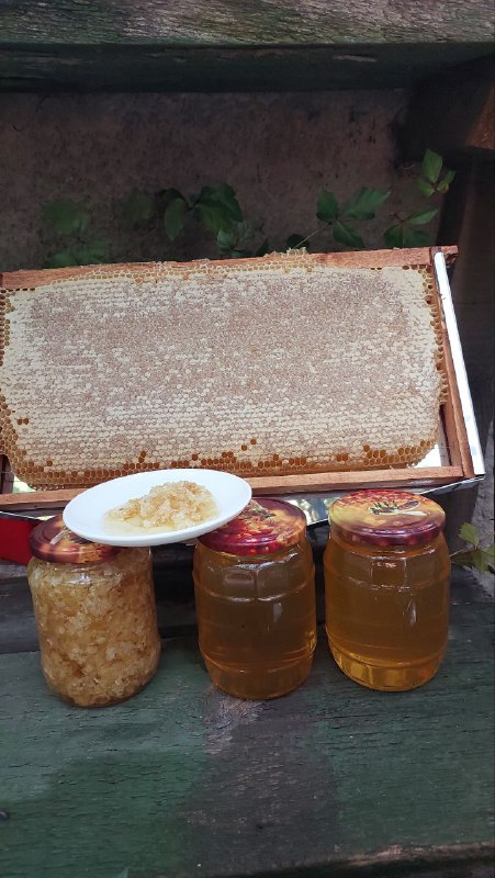 Натуральная пчелиная продукция с домашней пасеки 8