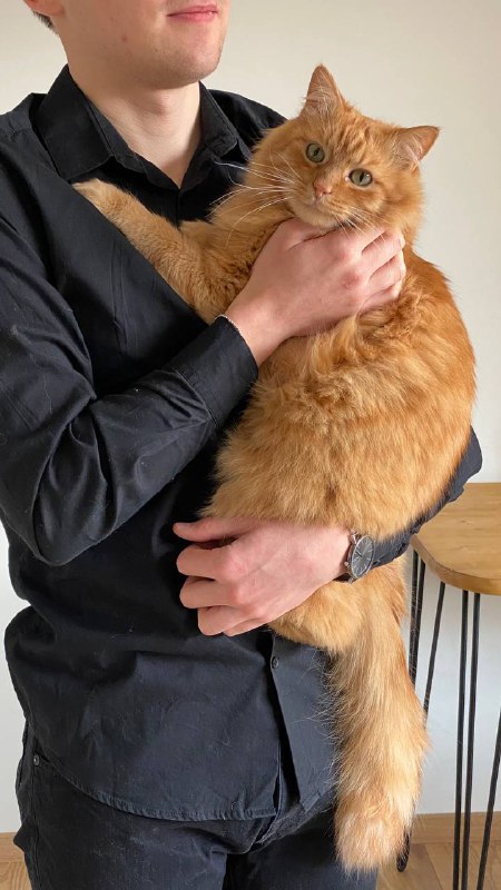 Кардиган Bershka, рубашка черная, джинсы Mavi, кофта коричневая, рубашка Koton, пальто Key Man 7