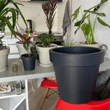 Закрытый лоток для кошек, горшки для растений 6