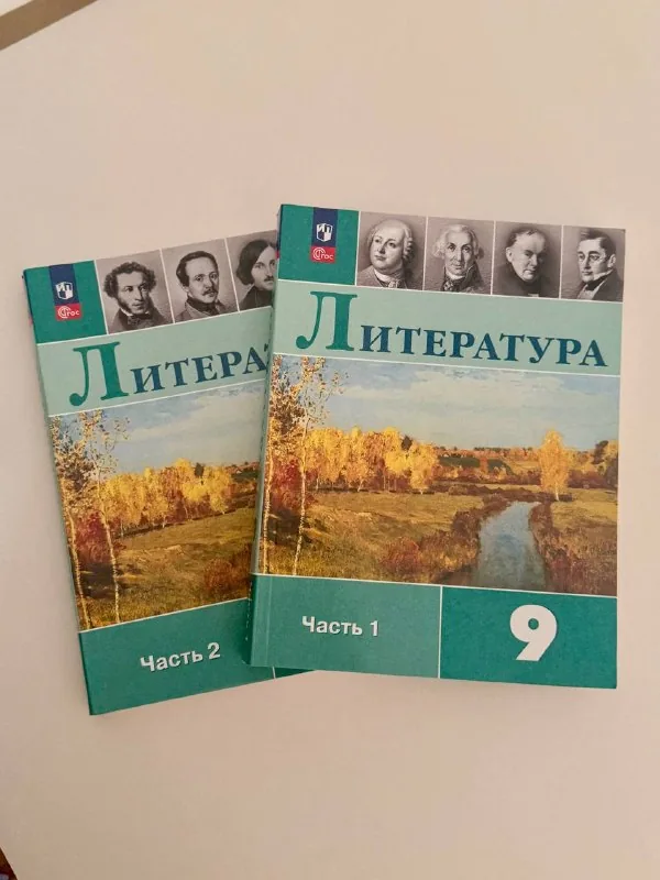 Учебники 9 класс: литература, русский язык, алгебра, физика, химия 1