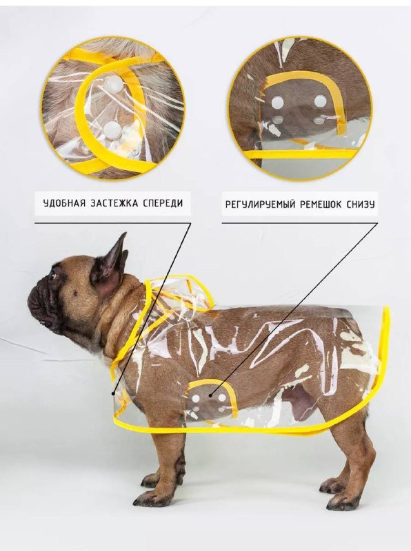 Дождевик для собаки XL