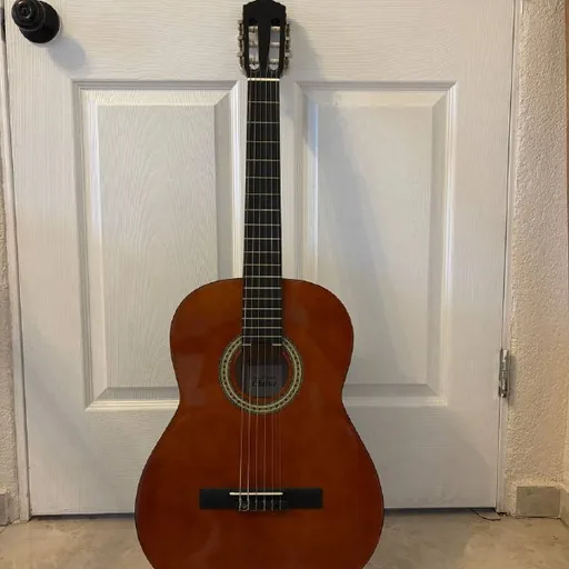 6-string guitar with case