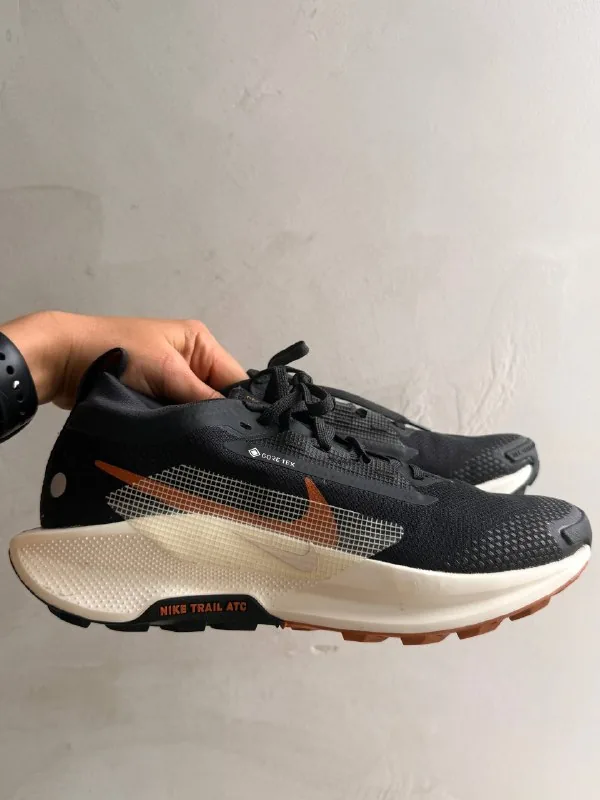Кроссовки Nike Running Pegasus Trail 5 GORE-TEX 1