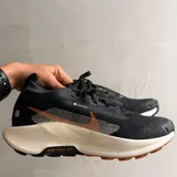 Кроссовки Nike Running Pegasus Trail 5 GORE-TEX 1