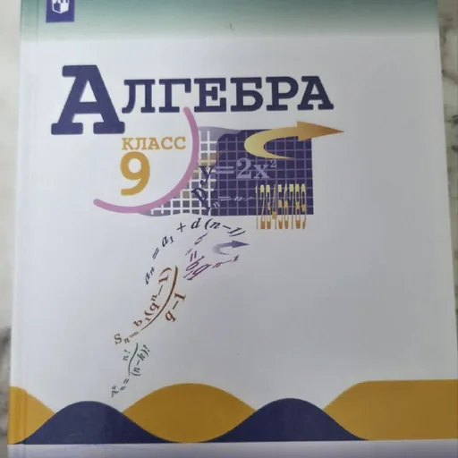 Учебники и книги по алгебре, русскому языку и литературе