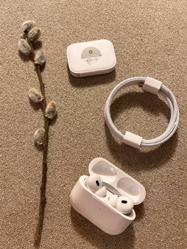AirPods Pro (2nd generation) с MagSafe + Мини Алиса с проводом 3