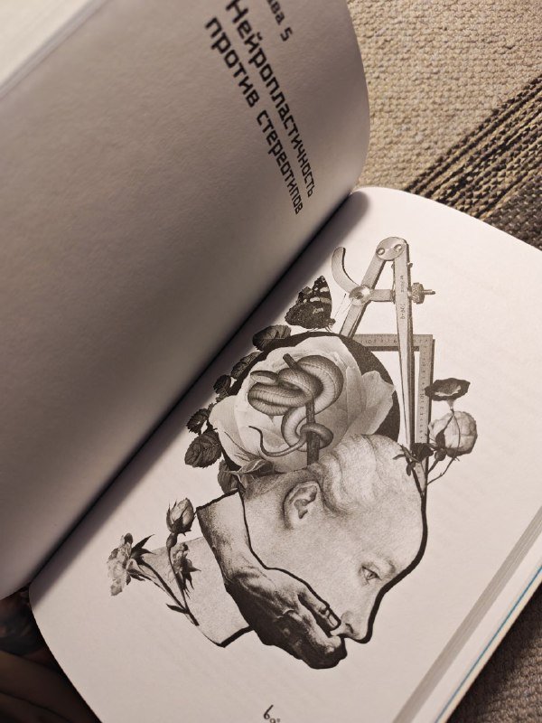 Книги Духовный интеллект, Homo Mutabilis 6