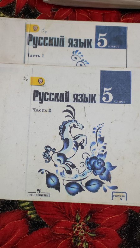 Учебники и распечатки учебников 6