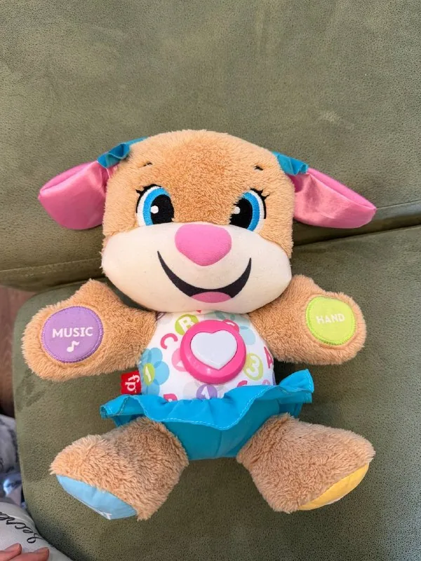 Игрушка Сестричка Учёного щенка