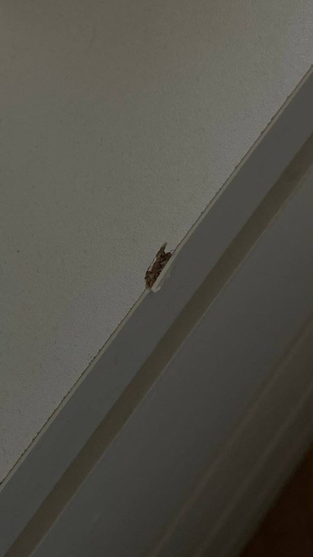 Комод с 4 ящиками белый вместительный 3