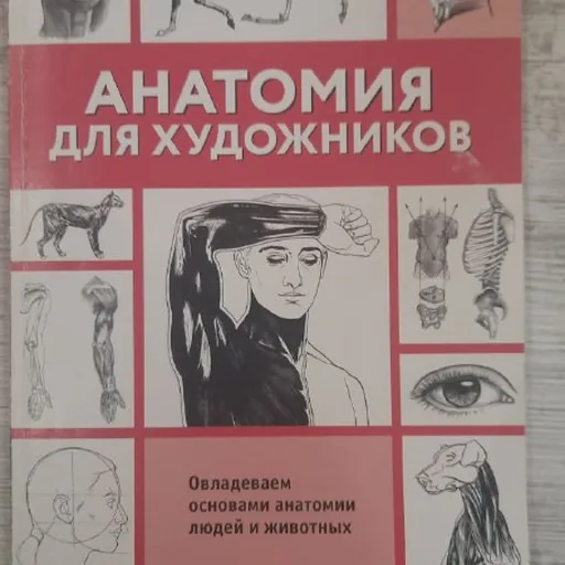 Анатомия для художников