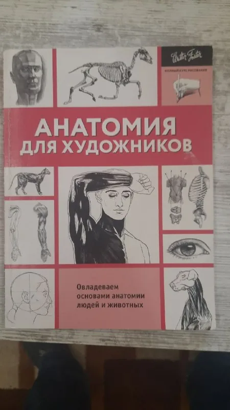 Анатомия для художников 1