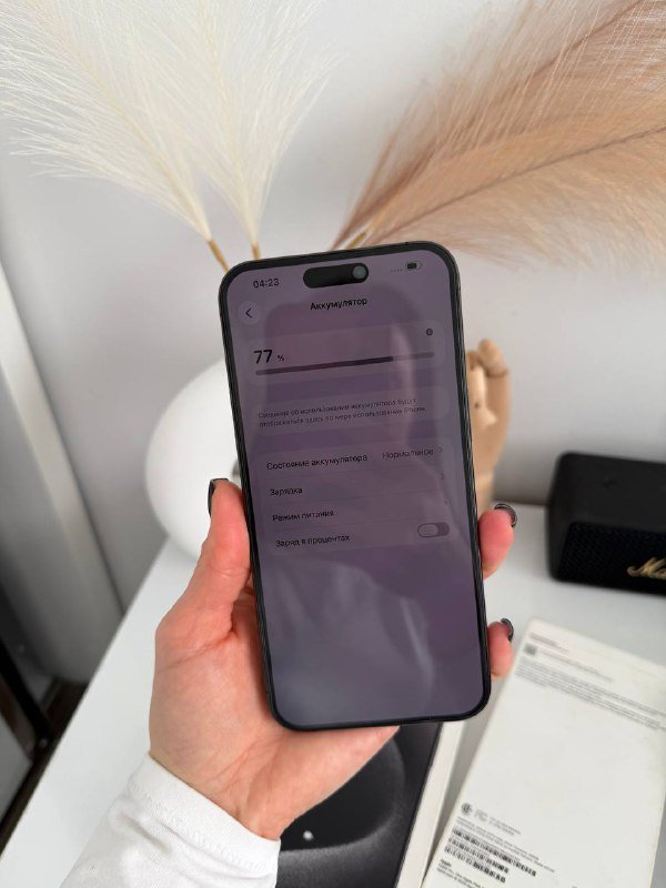 iPhone pro max black titanium 256 GB