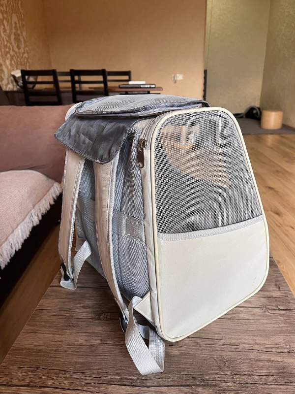 Переноска-рюкзак, переноска обычная, когтеточка 3