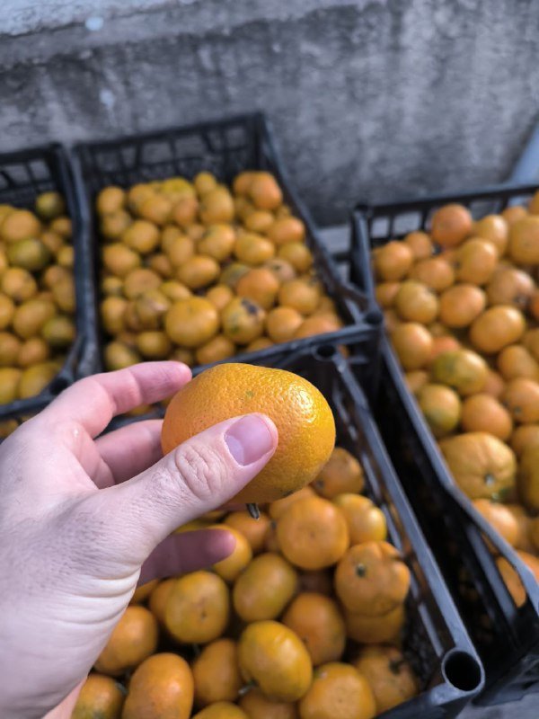 Мандарины 15 кг ящик 2