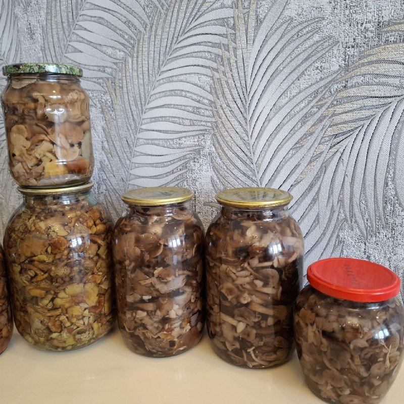 Грибы в банках 1 литр, 2 литра, 0.5 литра 4
