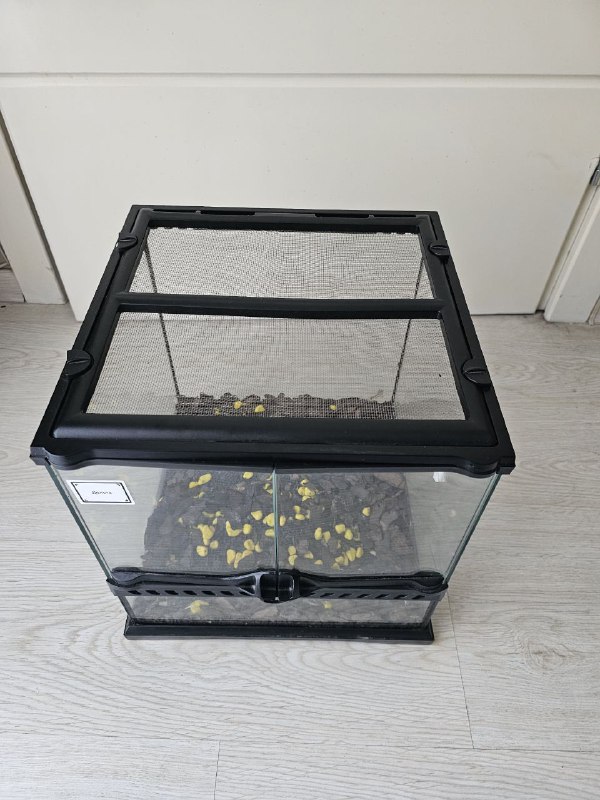 Террариум 3