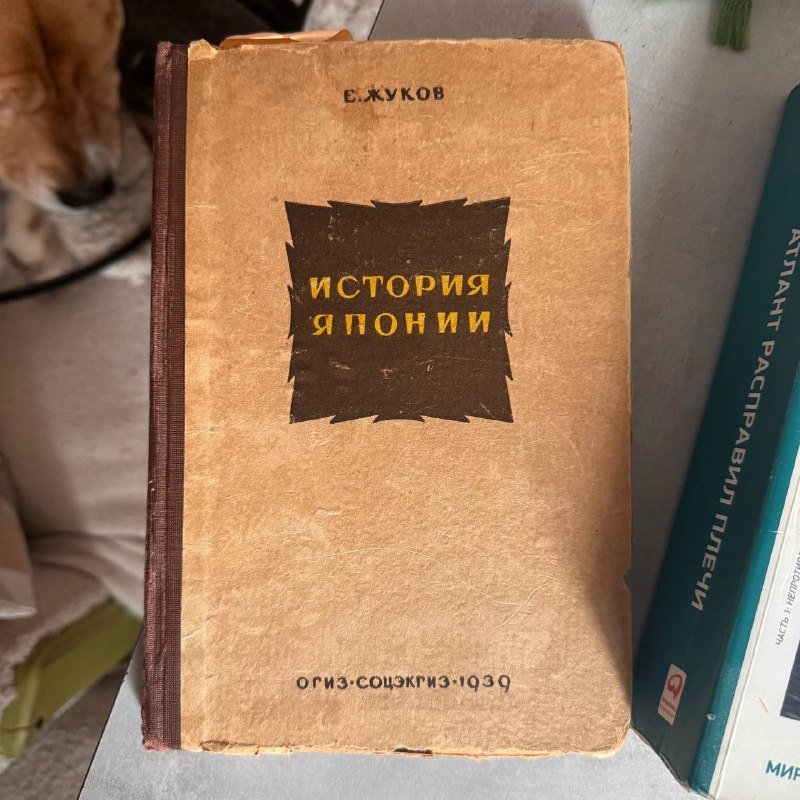История Японии, Русско-Грузинская война, Французские дети не плюются едой