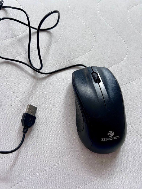 Компьютерная мышь, USB шнур, сумка, благовония, масло, мочалка, бюстгальтер, детская футболка, верх купальника, футболка