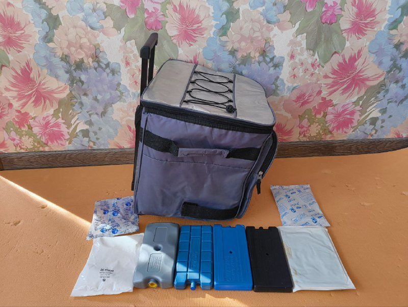 Сумка холодильник на колесах 3