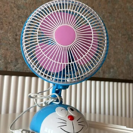 Fan