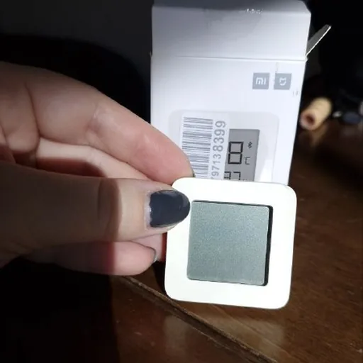 Xiaomi Mijia Bluetooth Thermometer 2