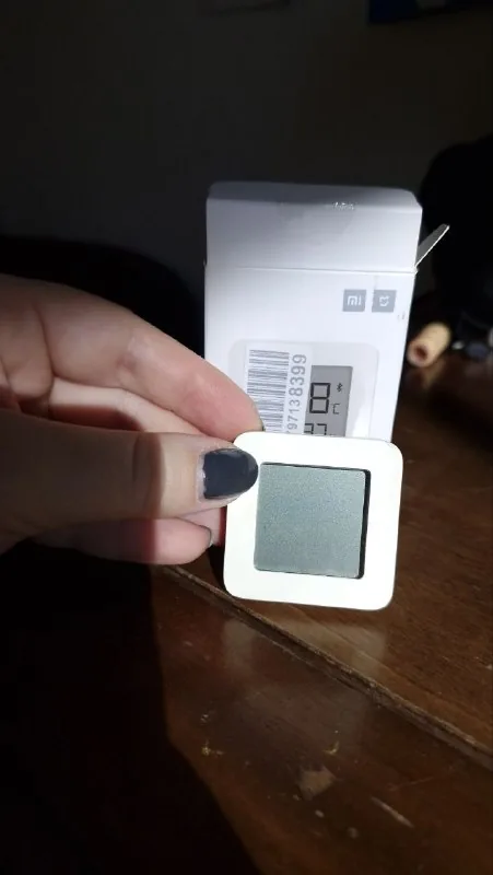 Xiaomi Mijia Bluetooth Thermometer 2