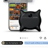 ИИ ассистент Looki 2