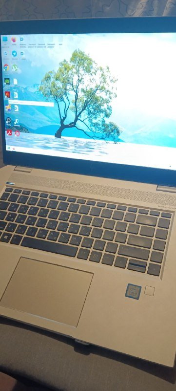Ноутбук HP Elitebook 1050 G1